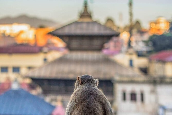PashupatiNath and BoudhaNath - Private/Small Group - Thanka art and healing bowls: a creative ending at Boudha Stupa