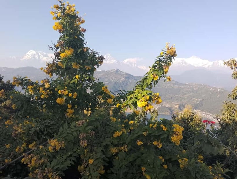 Peace & Panorama: Stupa and Pumdikot Scenic Drive Tour - Price and value for a $32 private half-day