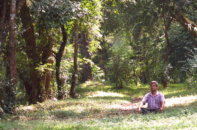 Pharping Asura Cave Meditation Tour - Price and value: why $60 can make sense for a private, guided cave hike