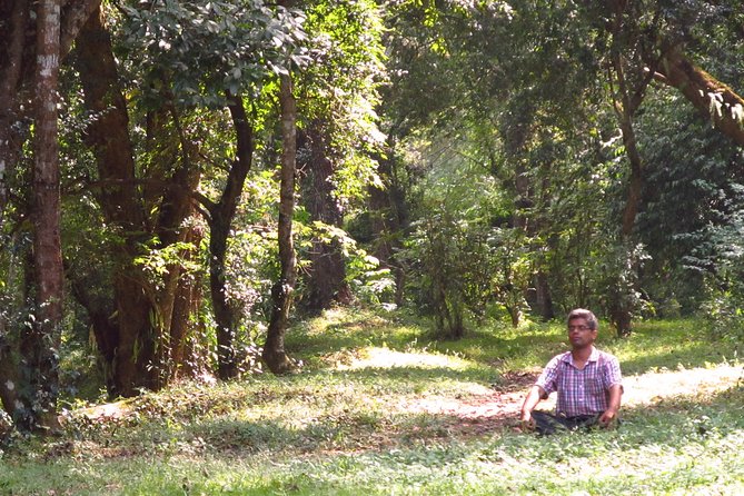 Pharping Asura Cave Meditation Tour - Door-to-door transfers and why they change the whole day