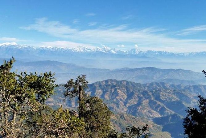Phulchoki bird-watching tour - Price and value at $324, plus what is not included
