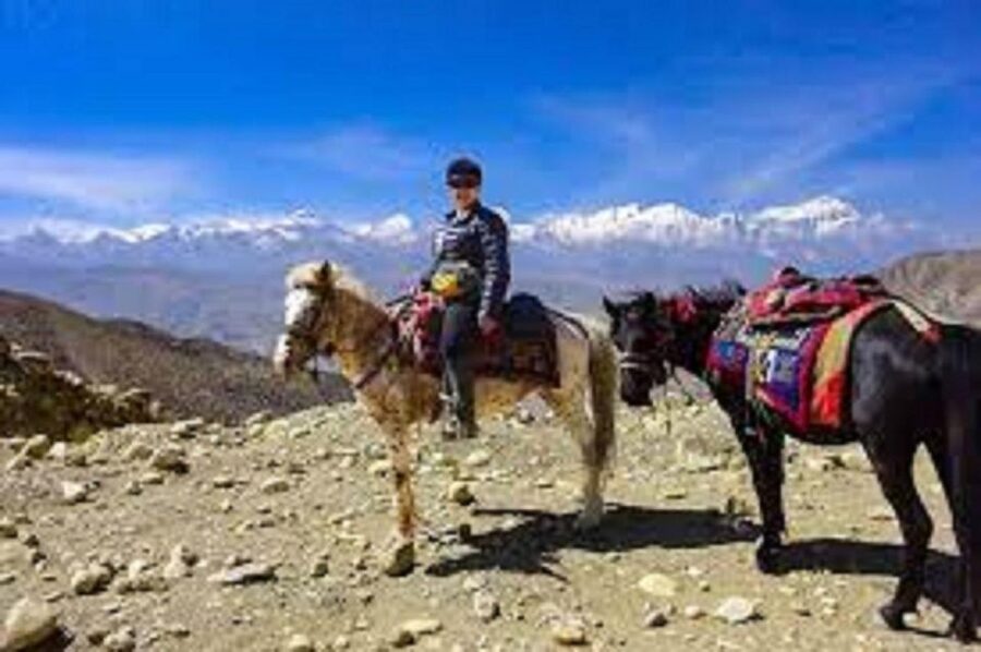 Pokhara: 1-Hour Horseback Ride with Hotel Pickup - Key things I’d watch for before you go