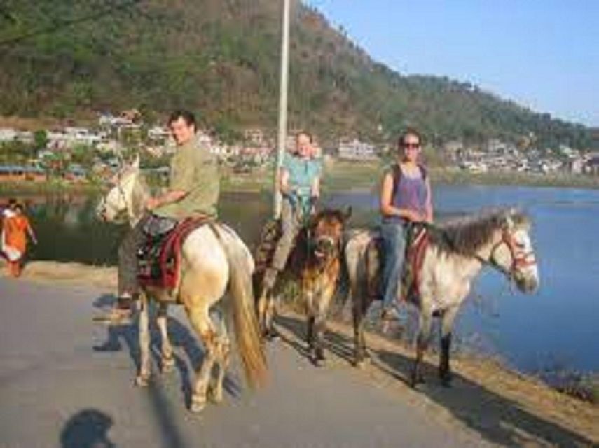 Pokhara: 1-Hour Horseback Ride with Hotel Pickup - Animals and the mood of the ride