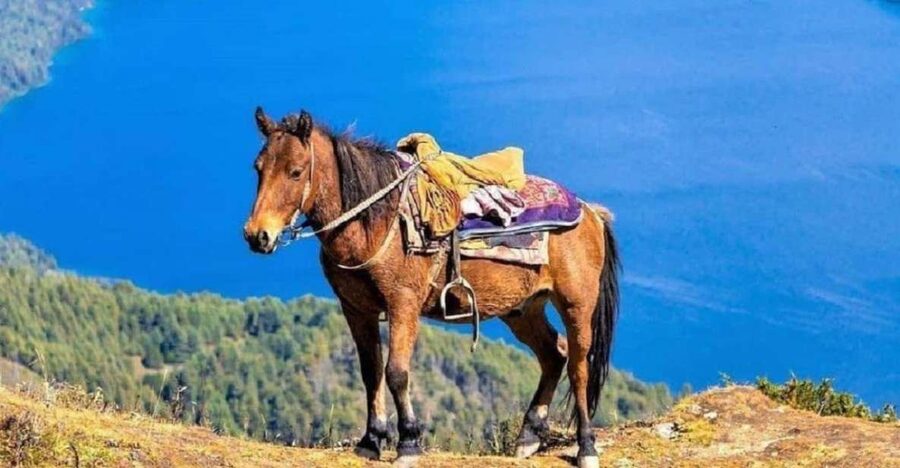 Pokhara: 1-Hour Horseback Ride with Hotel Pickup - Getting there: hotel pickup in the Lakeside Rd 6 area