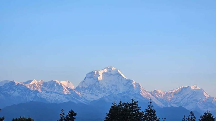 Pokhara: 2 & 3 Days Ghorepani Poon Hill Private Guided Trek - Day 1: from Ulleri and stone steps to Banthanti, Nangithanti, and Ghorepani