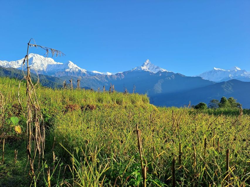 Pokhara: 2-Day Australian Camp & Dhampus Village Easy Hike - Key highlights you will care about
