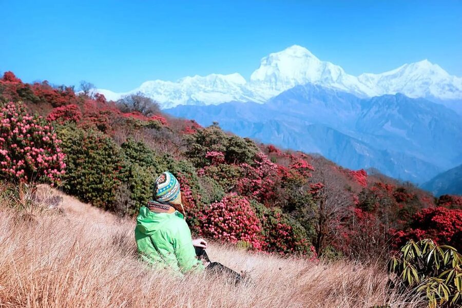 Pokhara: 2 Day Ghorepani & Poon Hill Private Trekking - Why Poon Hill in Two Days Works So Well