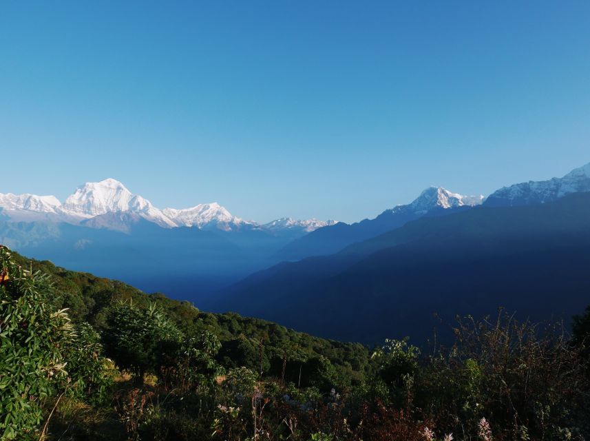 Pokhara: 3-Day Ghorepani and Poon Hill Trek - Price and Logistics: Does $127 Really Make Sense for a 3-Day Trek?