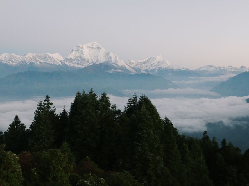 Pokhara: 3-Day Ghorepani and Poon Hill Trek - Who This Trek Best Fits, and Who Should Skip It