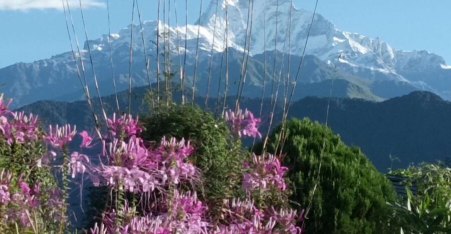 Pokhara: 3-Day Trek - Getting to Naudanda and the gentle climb to Dhampus