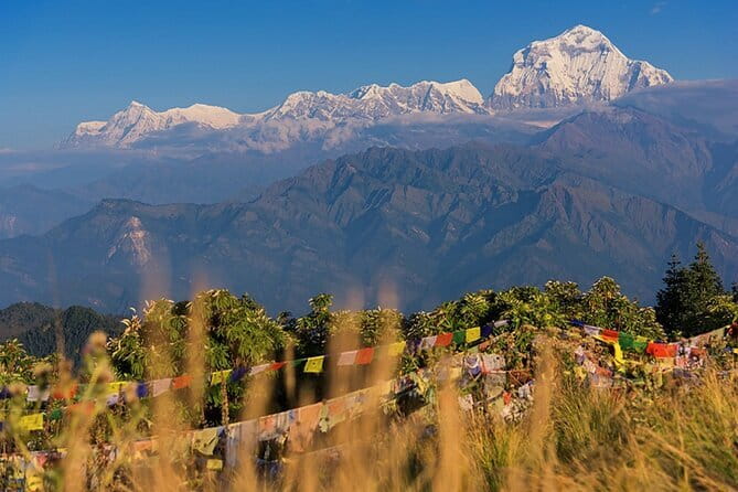 Pokhara 3 Days Ghorepani and Poon Hill Private Trek via Ghandruk - Why This 3-Day Poon Hill Trek Hits the Sweet Spot