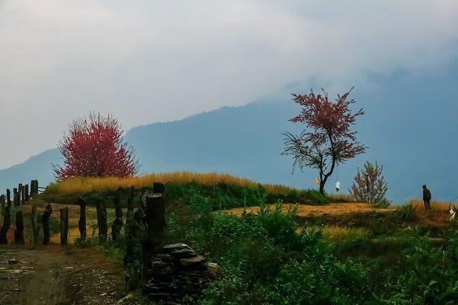 Pokhara 3 Days Ghorepani and Poon Hill Private Trek via Ghandruk - Price and Logistics: What $218 Really Buys You