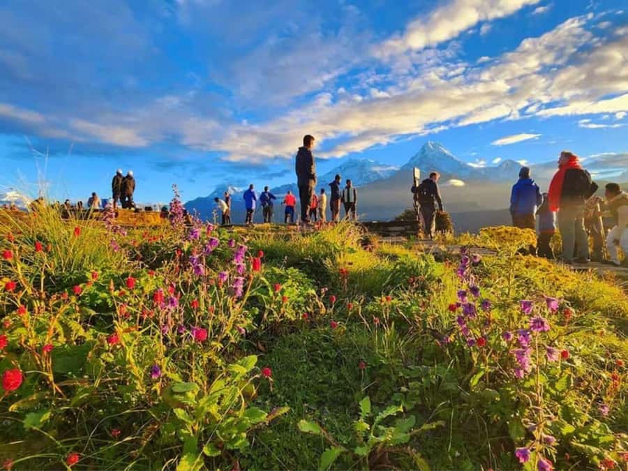 Pokhara: 3- days Poon Hill Trek - Pokhara to Nayapul: the practical start that saves you stress