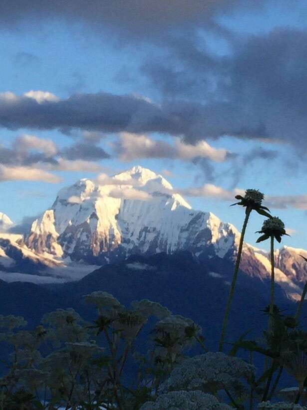 Pokhara: 3 days Trek to Poon hill - What you really get for the $287 per person price