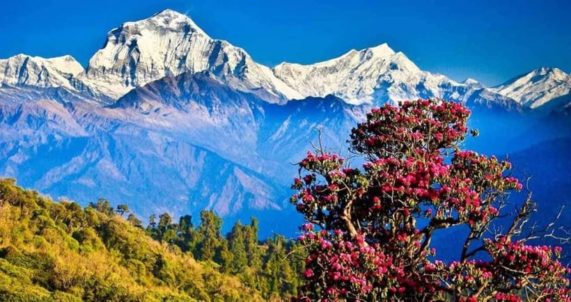 Pokhara: 3 days Trek to Poon hill - Packing list that actually helps on this route