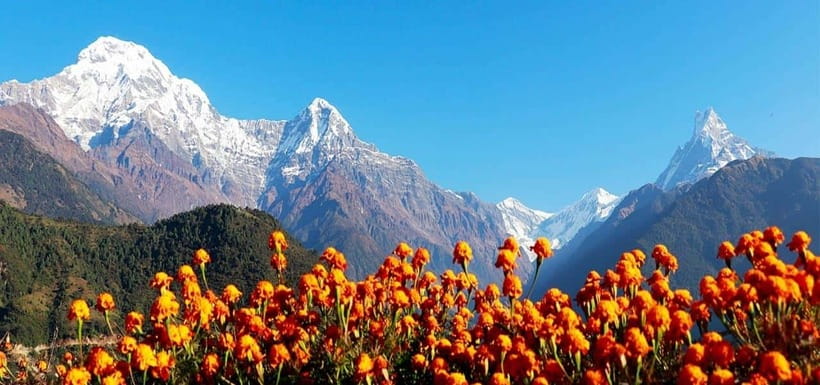 Pokhara: 4-Day Ghorepani, Poonhill & Ghandruk Mountain Trek - Pokhara to Ghorepani: why this 4-day circuit hits the right balance