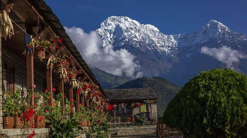 Pokhara: 4-Day Ghorepani, Poonhill & Ghandruk Mountain Trek - Day 3: Poon Hill sunrise, Tadapani calm, and arriving in Ghandruk