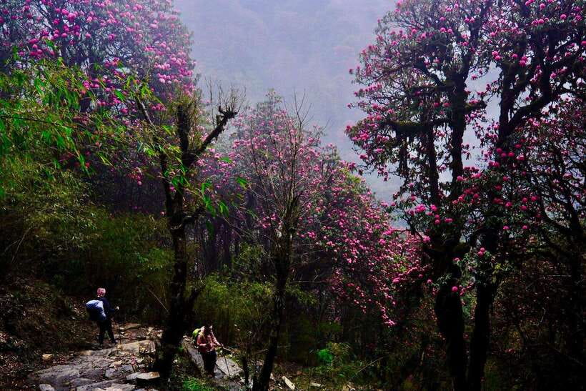 Pokhara: 4-Day Poon Hill and Ghandruk Guided Trek - Day 3: Poon Hill sunrise, Annapurna and Dhaulagiri views, then Ghandruk