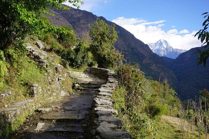 Pokhara: 4 Day Poon Hill Trek - Why Poon Hill starts with a very early wake-up