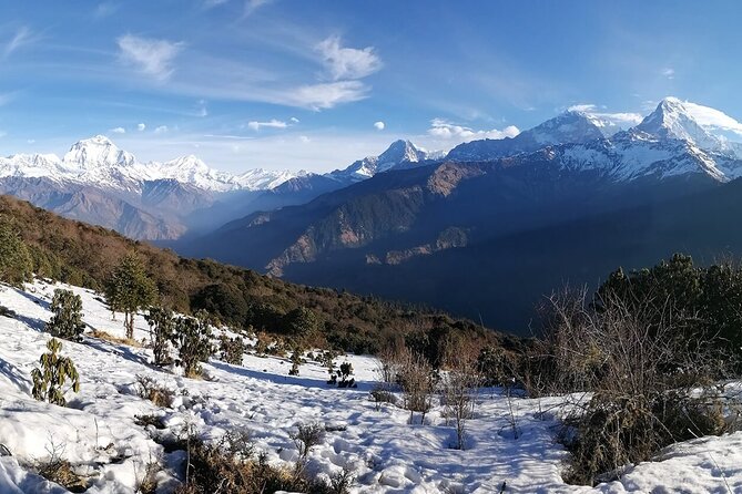 Pokhara: 4 Day Poon Hill Trek - Day 2: Ulleri stairs, rhododendron forests, and Ghorepani