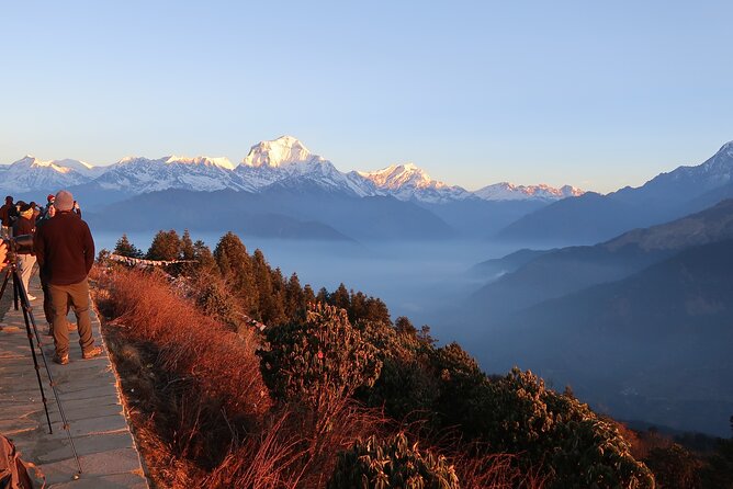 Pokhara: 4 Day Poon Hill Trek - Day 3: The Poon Hill sunrise mission, then breakfast in Ghorepani