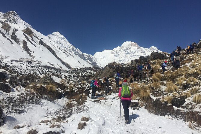 Pokhara: 4 Day Poon Hill Trek - Price and logistics: what $235 really buys you