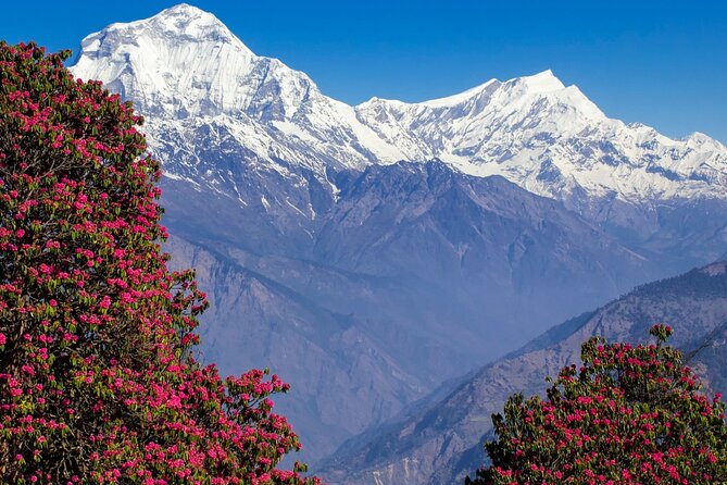 Pokhara: 4 Days Poon Hill and Ghandruk Trek - Who This Trek Fits Best (And Who Might Want a Different Plan)