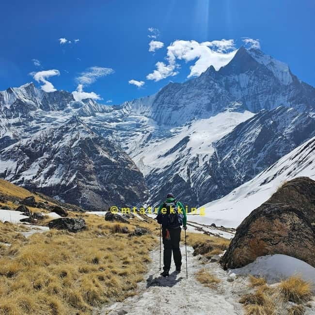 Pokhara: 5-Day Annapurna Base Camp (ABC) Trek - Guides: why English and registration matter here