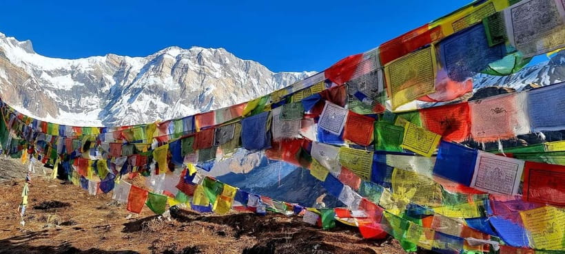 Pokhara: 5-Day Annapurna Base Camp Trek with Hot Spring - Guides, permits, and the logistics you want handled