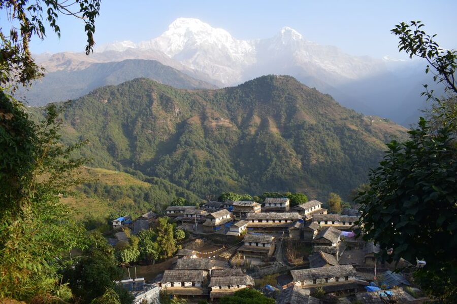 Pokhara: 7 Day Annapurna Base Camp Trek - Deurali climb day: bamboo and oak, plus the altitude reality check