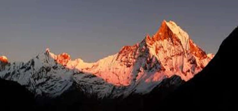 Pokhara: 7-Day Annapurna Base Camp Trek via Ghandruk - Day 3, Bamboo to Deurali: When the Trail Turns Green and Then Higher