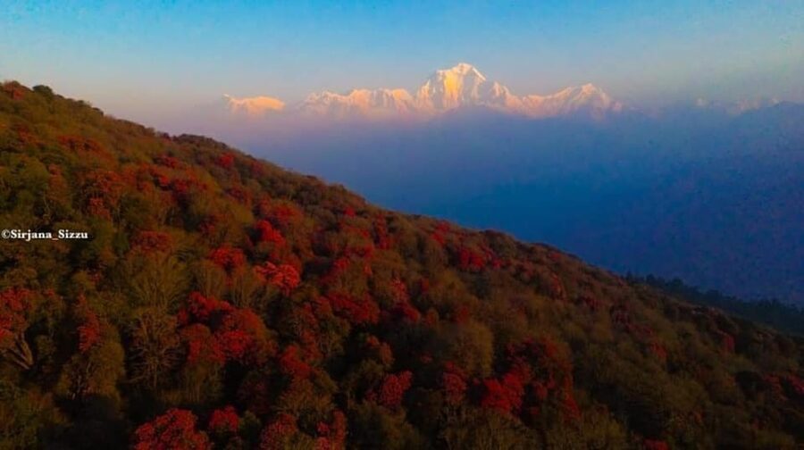 Pokhara: 7-Day Annapurna Base Camp Via PoonHill & Hot Spring - The big day: reaching Annapurna Base Camp at 4130m