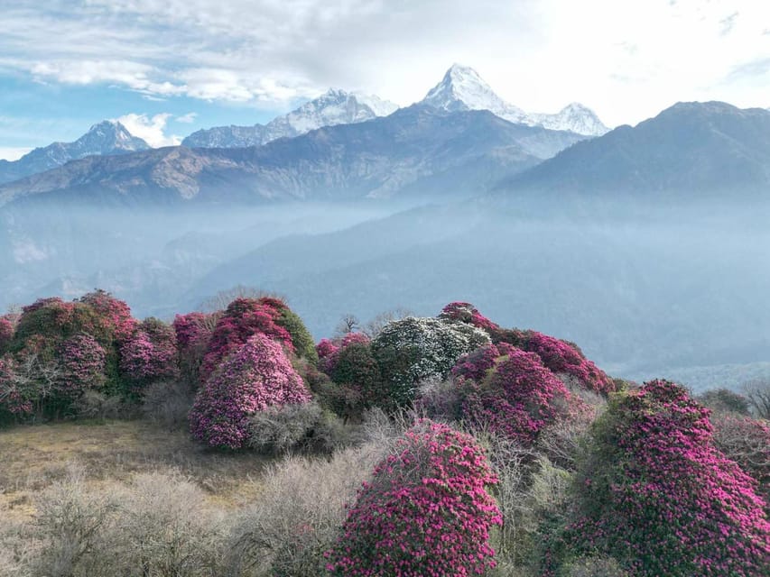 Pokhara: 7-Day Annapurna Base Camp Via PoonHill & Hot Spring - How hard is it, and what should you bring?