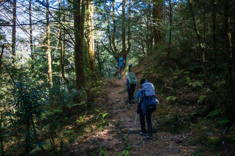 Pokhara: 9-Day Annapurna Base Camp Trek with Poon Hill - Guides, food, and lodging: comfort is part of the value