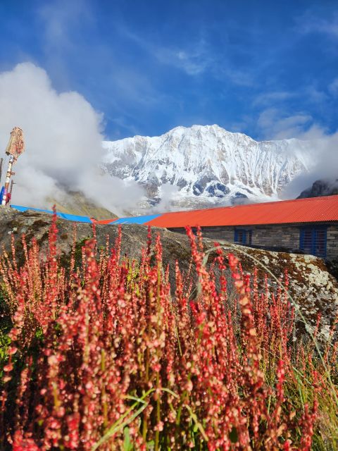 Pokhara: 9-Day Annapurna Base Camp Trek with Poon Hill - What to bring so you feel in control