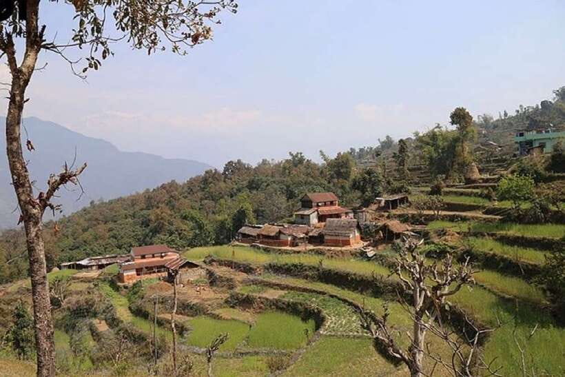 Pokhara: Annapurna Day Hike with Panoramic Views - Key points to know before you go