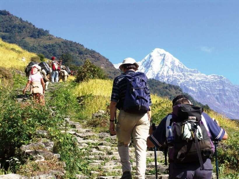 Pokhara: Annapurna Day Hike with Panoramic Views - Why This Pokhara Day Hike Hits the Sweet Spot