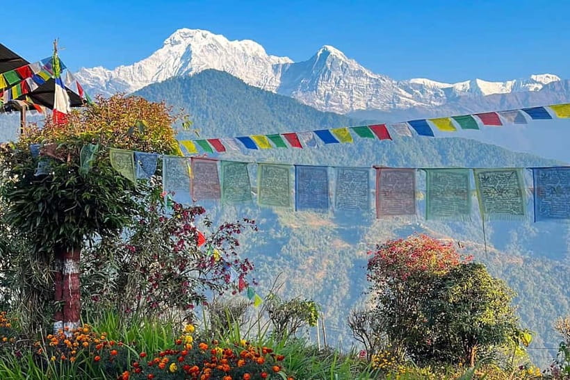 Pokhara: Day Hiking to Australian Base Camp with Lunch - Australian Camp: Packed Lunch, Peaks, and Photo Perfect Moments