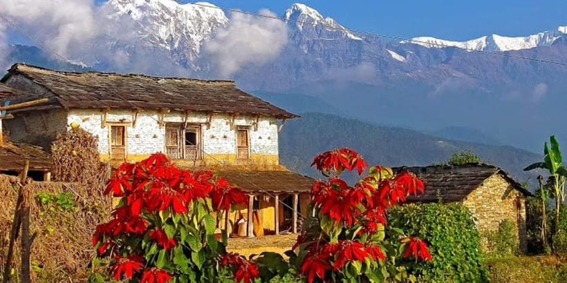 Pokhara: Day Hiking to Australian Base Camp with Lunch - Dhampus and Phedi Stops: Views Plus Gurung Settlement Culture
