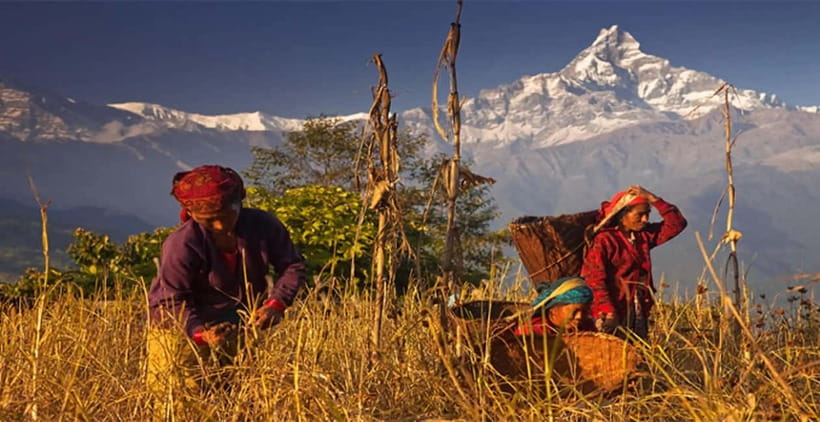 Pokhara: Day Hiking to Australian Base Camp with Lunch - Price and Value, Including the $20 Driver Fee