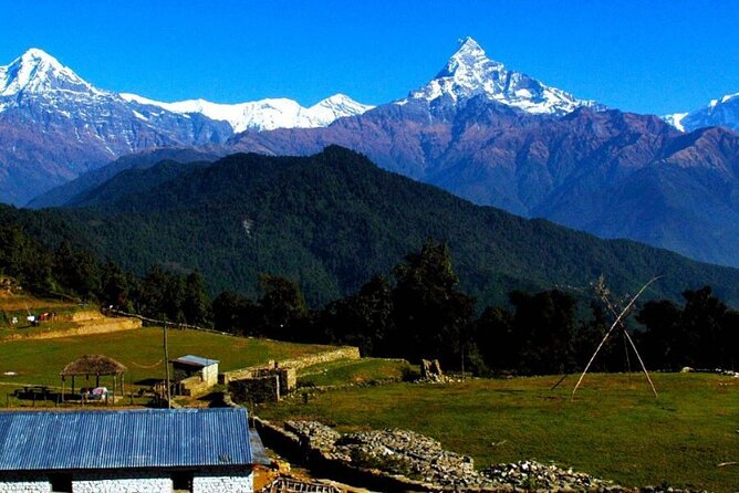 Pokhara: Easy Day Hike to Australian Camp & Dhampus Village - Australian Camp: the famous view stop (and why the timing works)