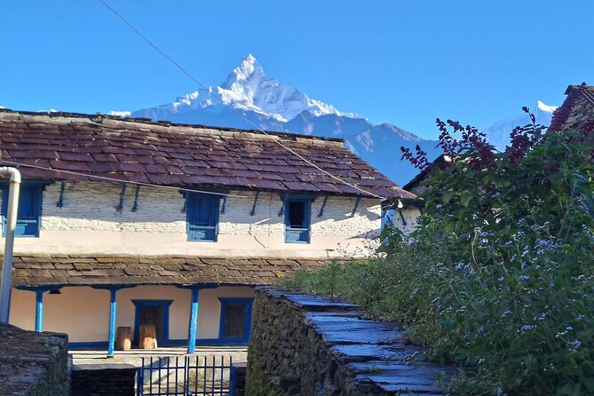 Pokhara: Easy Day Hike to Australian Camp & Dhampus Village - Sarangkot viewpoint energy on a short schedule