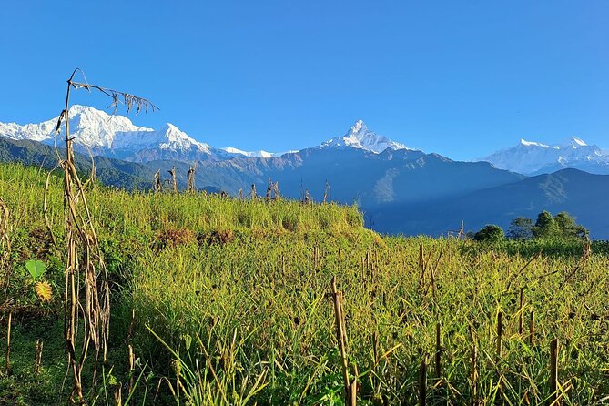 Pokhara: Easy Day Hike to Australian Camp & Dhampus Village - Guides that make the day click: stories, English, and pacing
