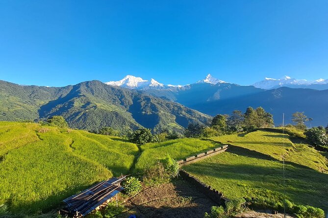 Pokhara: Easy Day Hike to Australian Camp & Dhampus Village - Who should book this day hike, and who might skip it?
