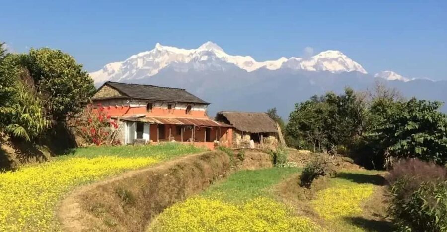 Pokhara : Easy Dhampus & Astam Village Day Hike - H2: Price and Value, What $35 Actually Buys You