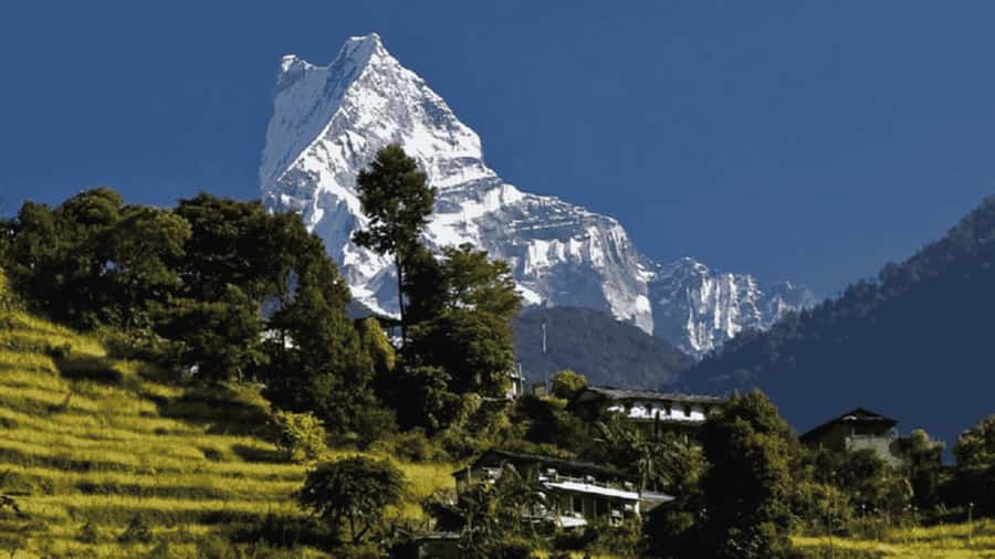 Pokhara: Guided Day Hike From Dampus To Australian Base Camp - Key things to know before you go