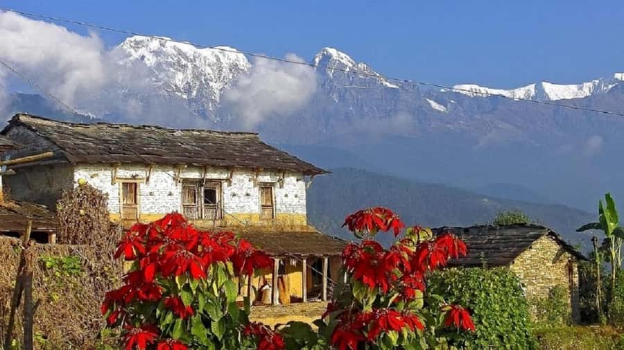 Pokhara: Guided Day Hike From Dampus To Australian Base Camp - Who should book, and who should skip this one
