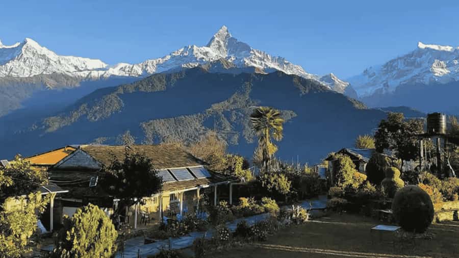 Pokhara: Guided Day Hike From Dampus To Australian Base Camp - Why this Dhampus to Australian Camp hike feels like a “real” Annapurna day