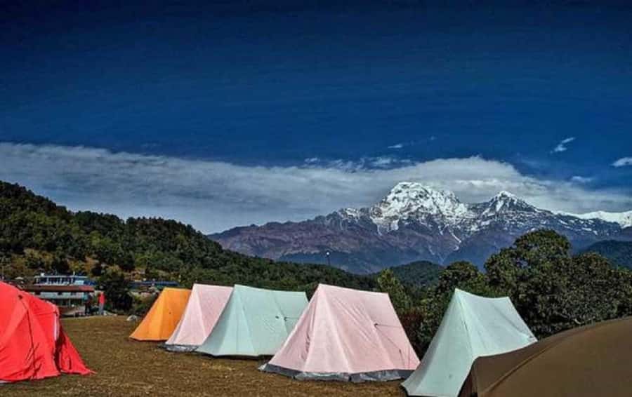 Pokhara: Guided Day Hike From Dampus To Australian Base Camp - The trail: forests, terraced farms, and rhododendron season color