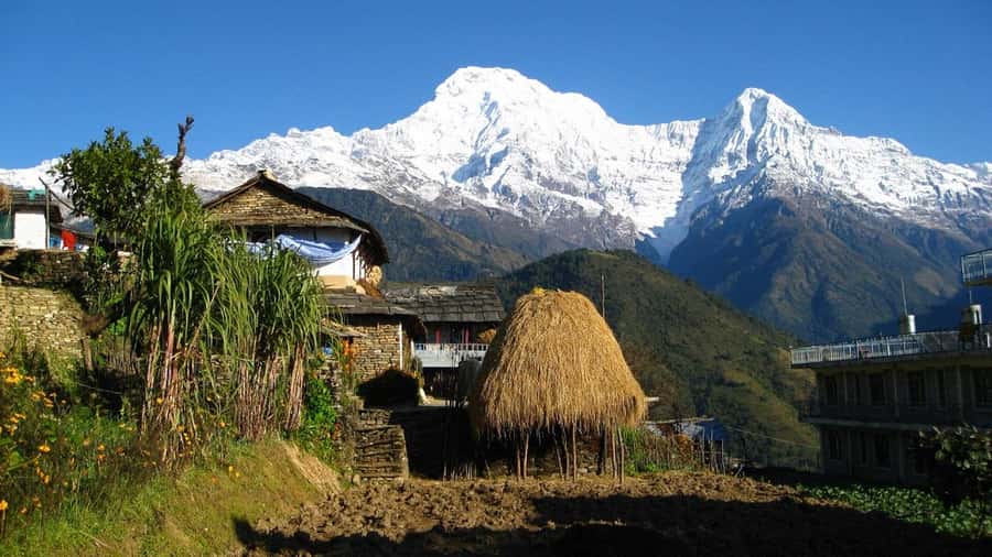 Pokhara: Guided Day Hike From Dampus To Australian Base Camp - Australian Base Camp viewpoint: where sunrise over Annapurna hits hardest